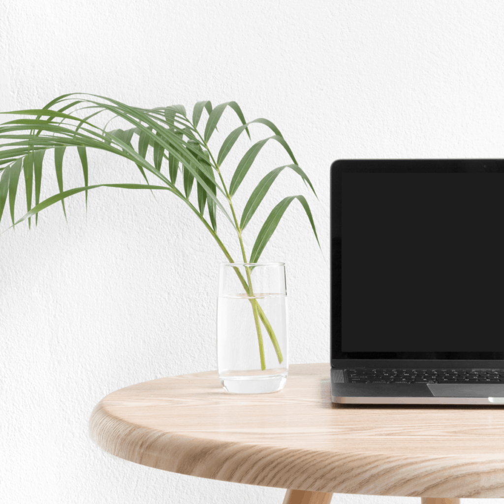 A WordPress laptop on a wooden table with a plant in a vase.